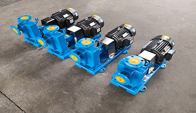 ZW Series Self Priming Sludge Pump